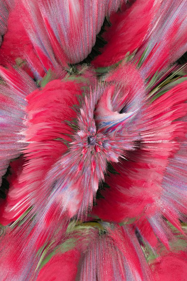 Pink Daisy Abstract 1