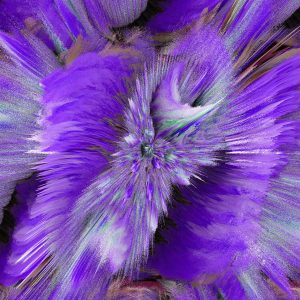 Purple Daisy Abstract 1