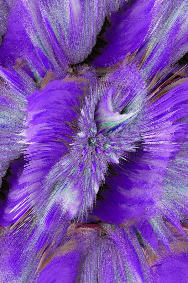 Purple Daisy Abstract 1