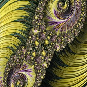 Fractal Prints