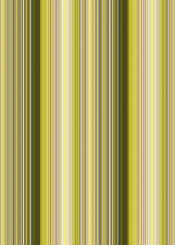Yellow Daisy Stripe