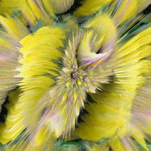 Abstract Prints 1