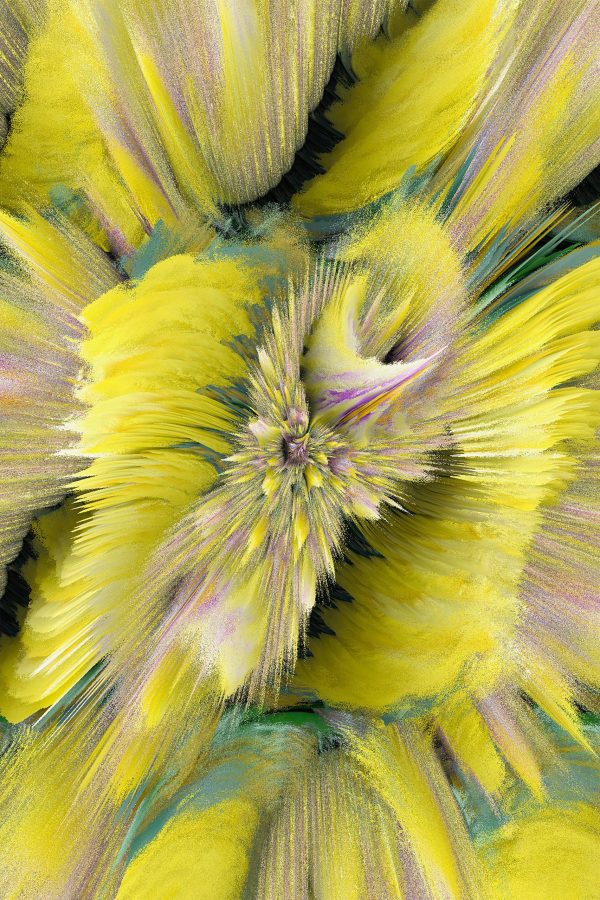 Yellow Daisy Abstract 1